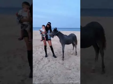 Нажми и смотри