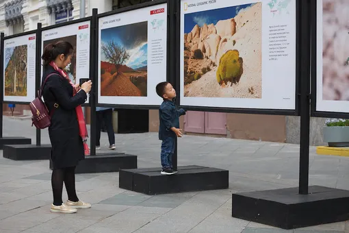В Москве открылась фотовыставка о редких растениях «Цветущая планета»