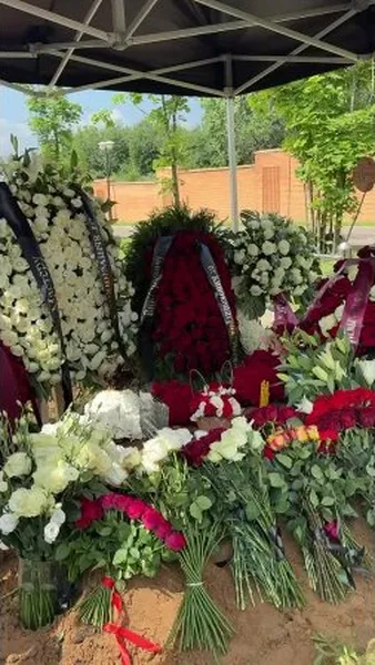 Нажми и смотри