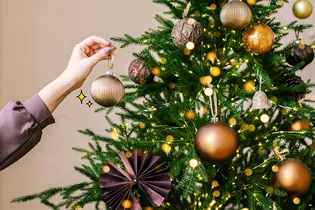 С Новым годом! Поздравление от редакции VOICE