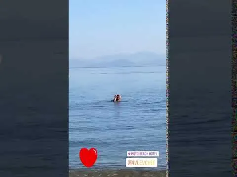 Нажми и смотри Нажми и смотри