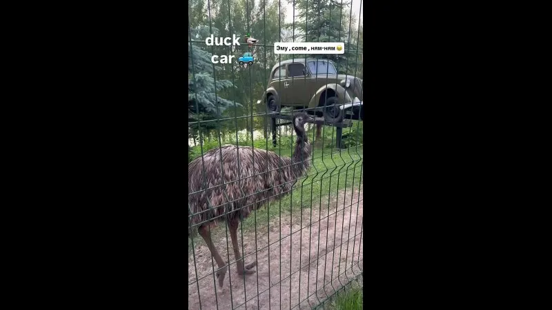 Нажми и смотри Нажми и смотри