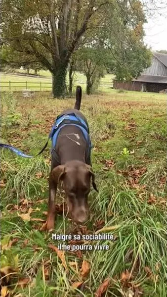 Нажми и смотри