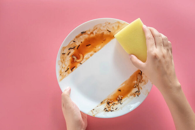 10 places in the kitchen that really need to be disinfected 10 places in the kitchen that really need to be disinfected