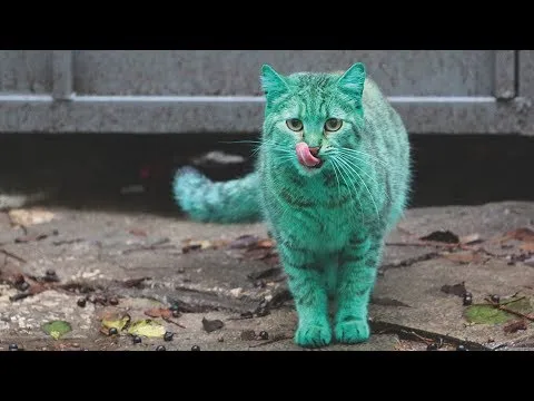 Нажми и смотри