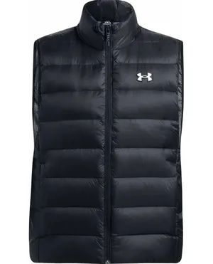 Жилет спортивный Under Armour LEGEND DOWN VEST