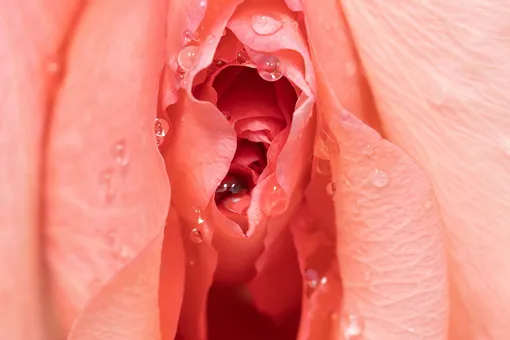 признаки женского оргазма признаки женского оргазма