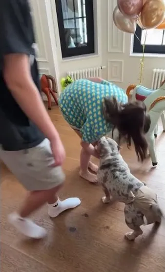 Нажми и смотри