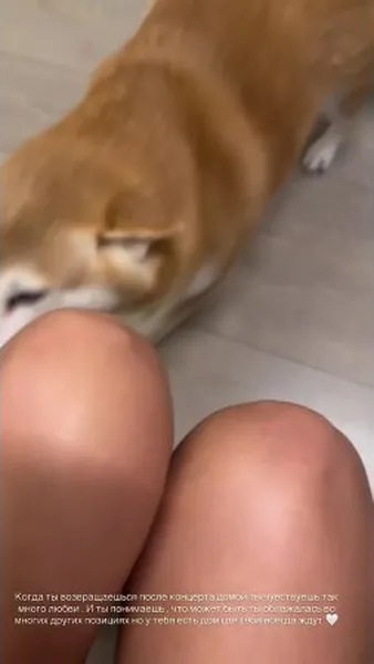 Нажми и смотри Нажми и смотри