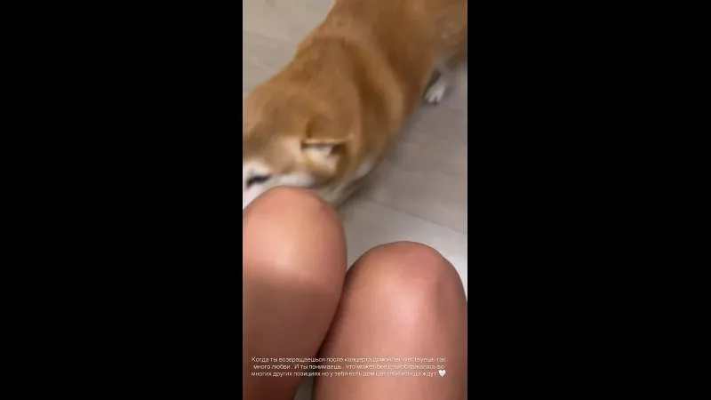 Нажми и смотри Нажми и смотри