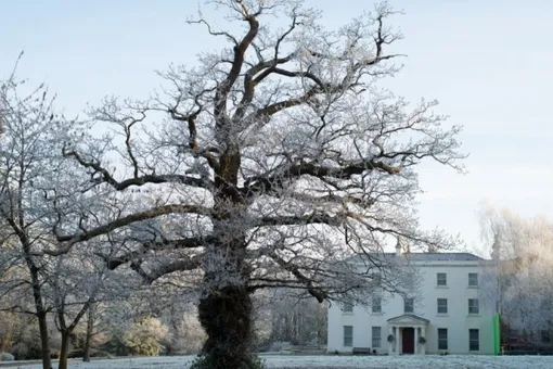 По следам номинантов на «Оскар»