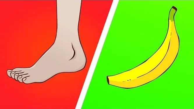 Нажми и смотри Нажми и смотри