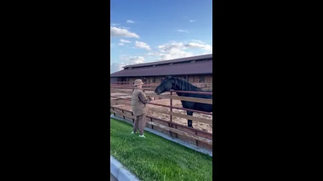 Нажми и смотри