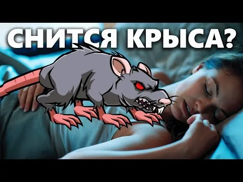 Нажми и смотри