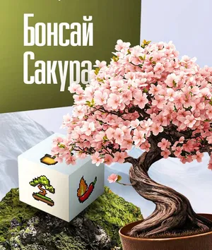 Бонсай набор для выращивания растений Сакура