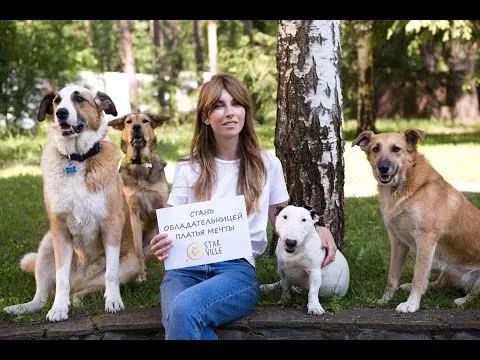 Нажми и смотри Нажми и смотри