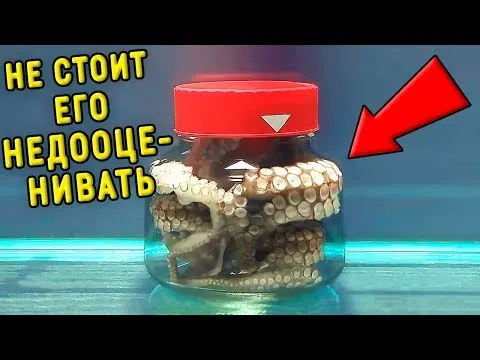 Нажми и смотри Нажми и смотри