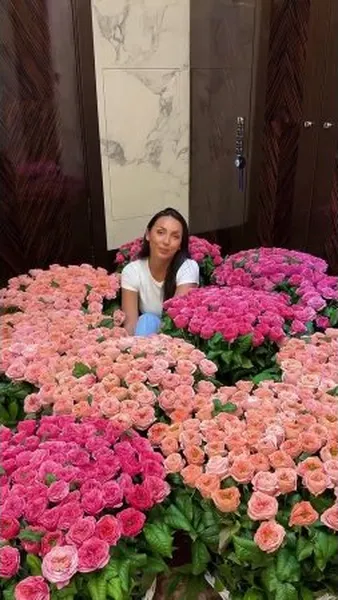 Нажми и смотри Нажми и смотри