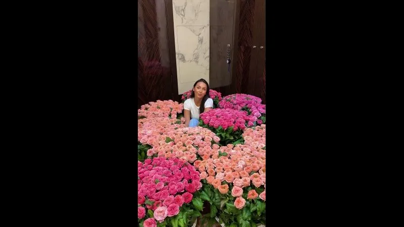 Нажми и смотри Нажми и смотри