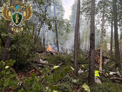 Все 48 человек, находящиеся на борту Ан-24, погибли Все 48 человек, находящиеся на борту Ан-24, погибли