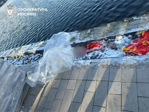 Отрезанную голову Мирослава обнаружили в Гольяновскому пруду Москвы