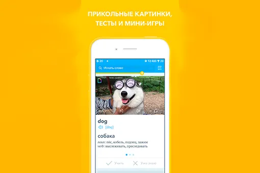 Upmind – уникальное приложение для изучения иностранных языков Upmind – уникальное приложение для изучения иностранных языков