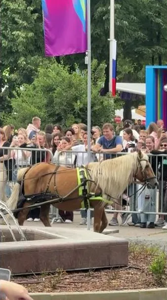 Нажми и смотри