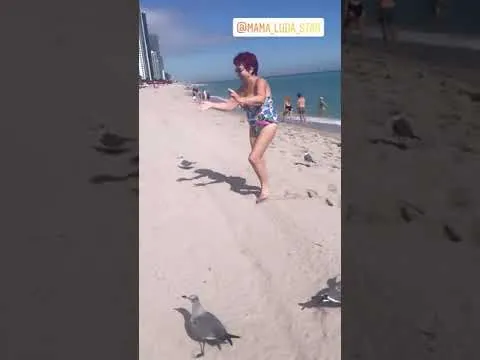 Нажми и смотри Нажми и смотри