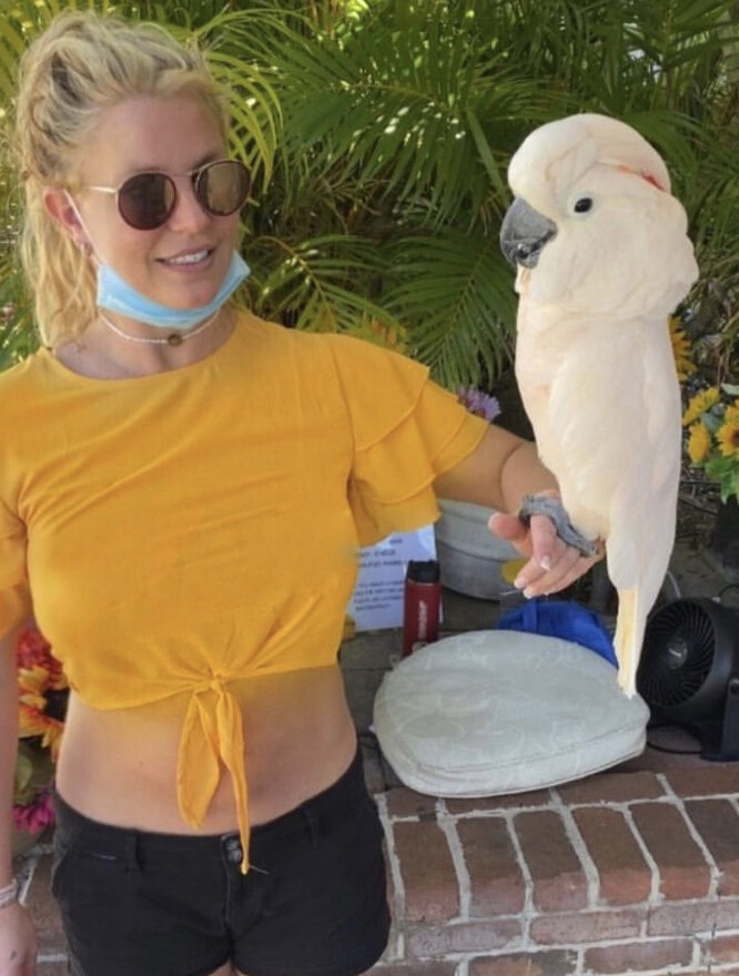 Бритни Спирс отметила, что ей странно находиться в одиночестае