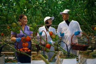 Путешествие по вкусам: на ТВ стартует новый сезон программы «Формула еды»