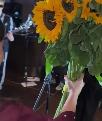 Нажми и смотри