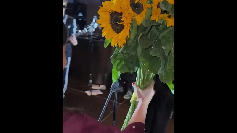Нажми и смотри Нажми и смотри