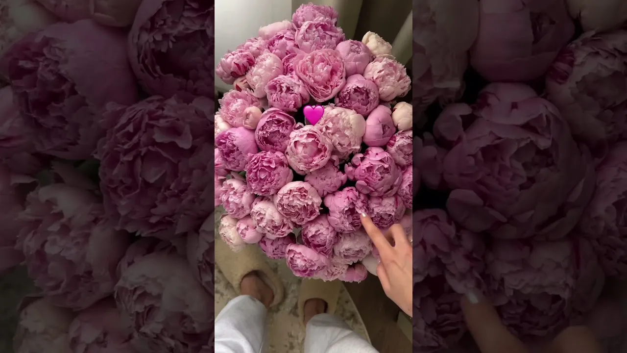 Нажми и смотри Нажми и смотри