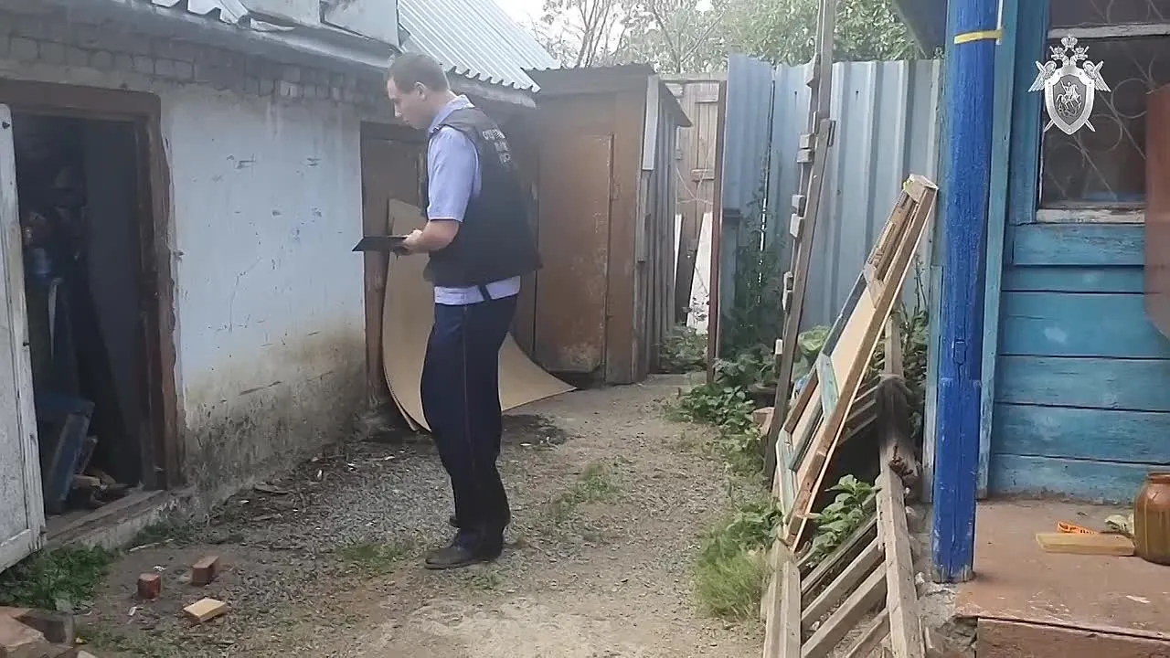 Нажми и смотри Нажми и смотри