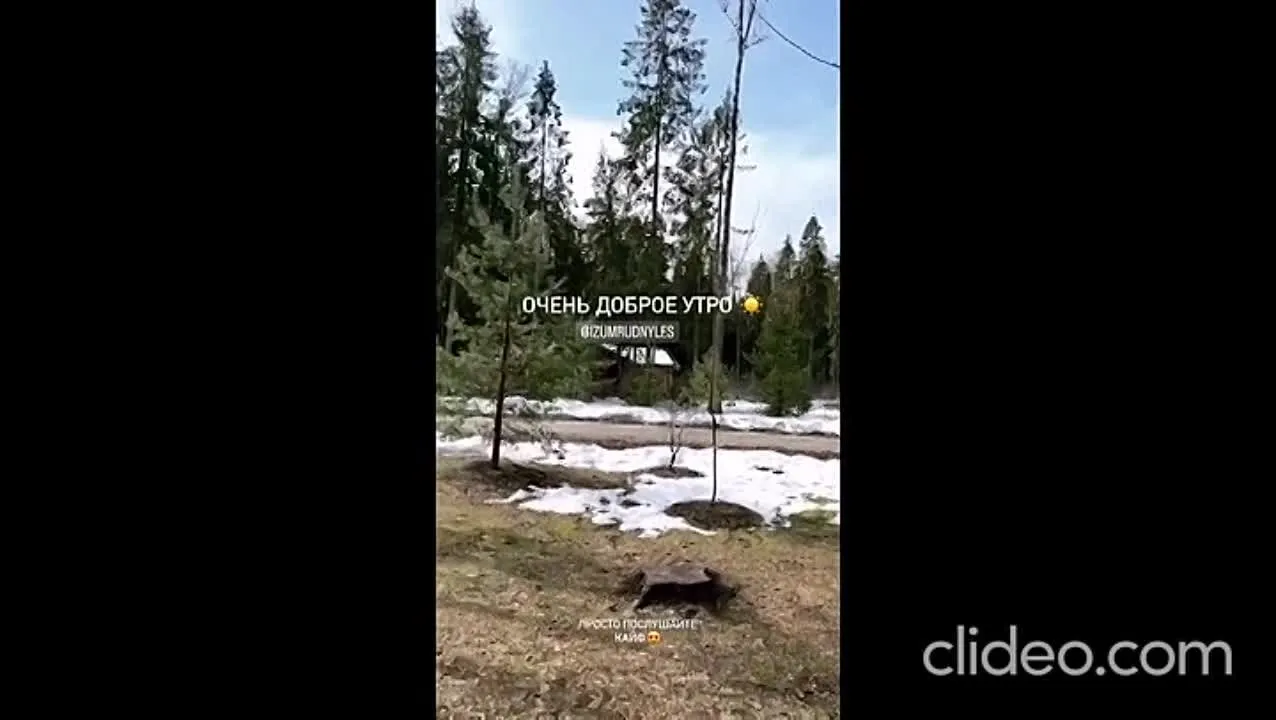 Нажми и смотри Нажми и смотри