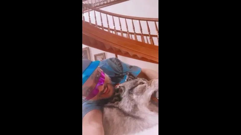 Нажми и смотри Нажми и смотри