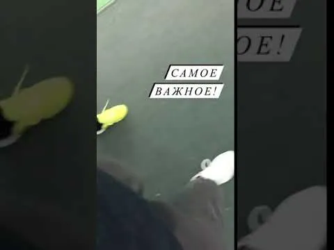 Нажми и смотри Нажми и смотри