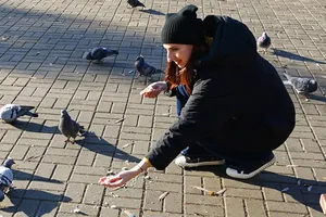 Ученые выяснили, что городские птицы боятся женщин больше, чем мужчин