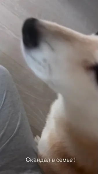 Нажми и смотри