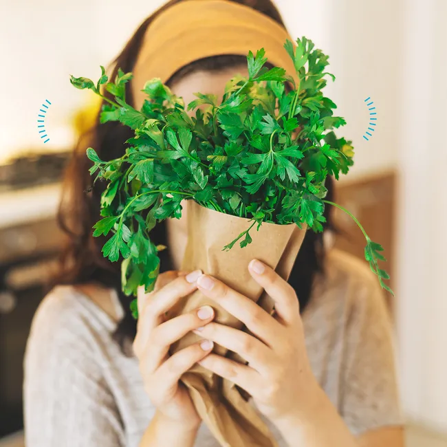 Зелень и ее польза: какие травы должны быть на столе каждый день