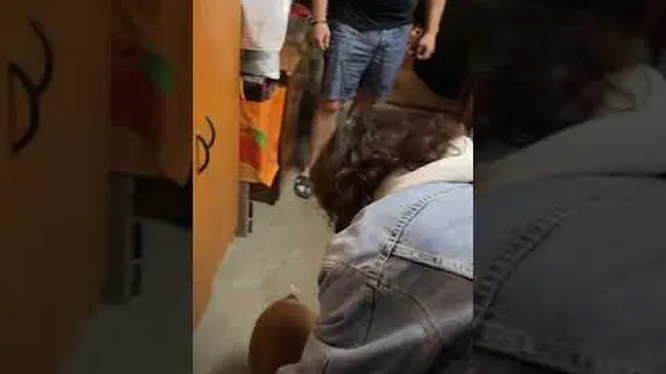 Нажми и смотри Нажми и смотри