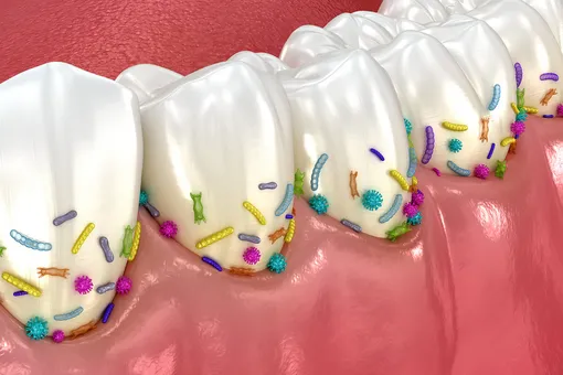 что будет если не почистить зубы на ночь что будет если не почистить зубы на ночь