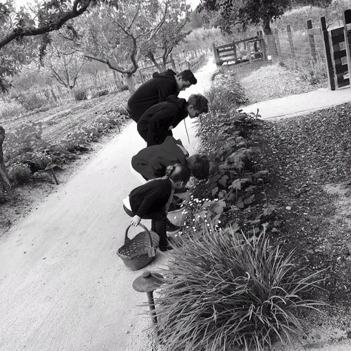 Дети Бекхэмов