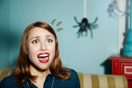 Как избавиться от пауков в доме: лучшие подручные средства