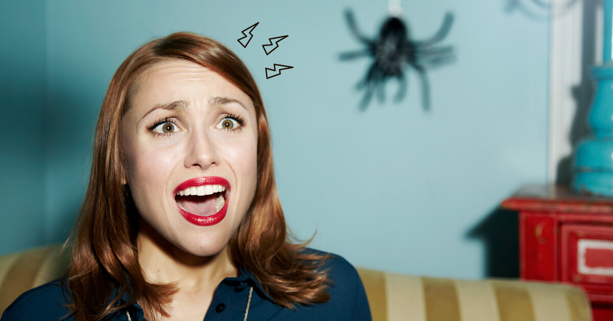 How to get rid of spiders in the house: the best improvised means