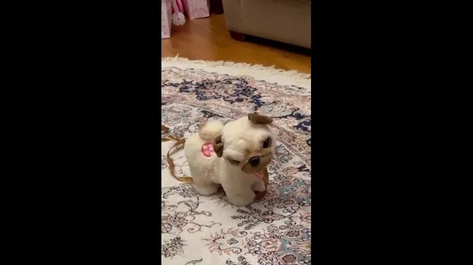 Нажми и смотри