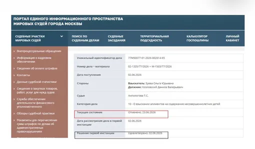 Ольга Зуева рассекретила статус судебного дела Ольга Зуева рассекретила статус судебного дела