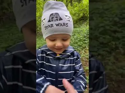 Нажми и смотри