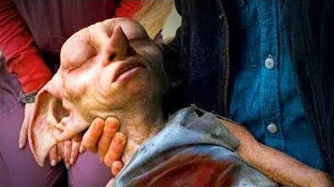 Нажми и смотри