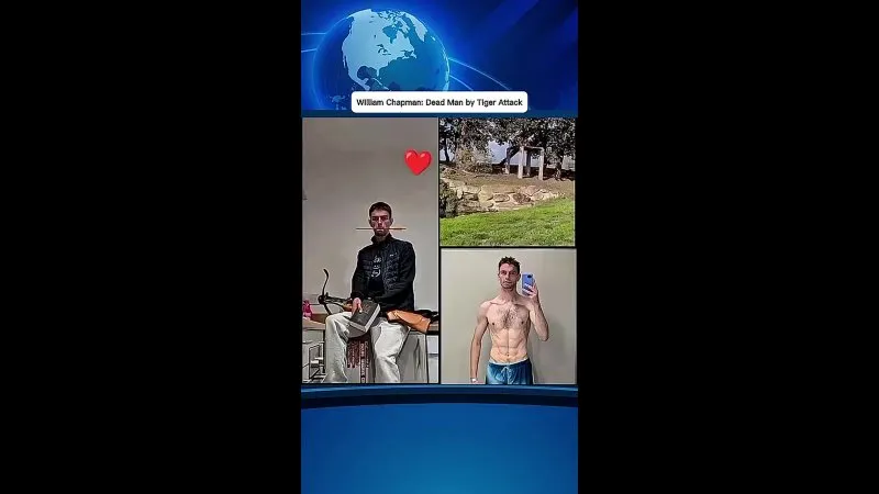 Нажми и смотри Нажми и смотри